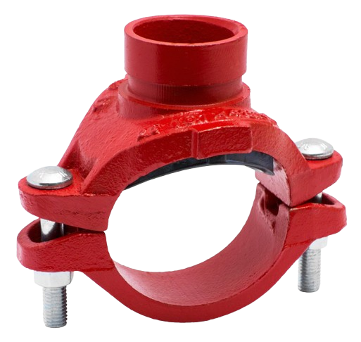 116-removebg-preview