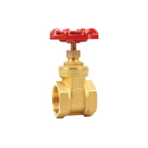 Brass-Gate-Valve-Z15W-101A